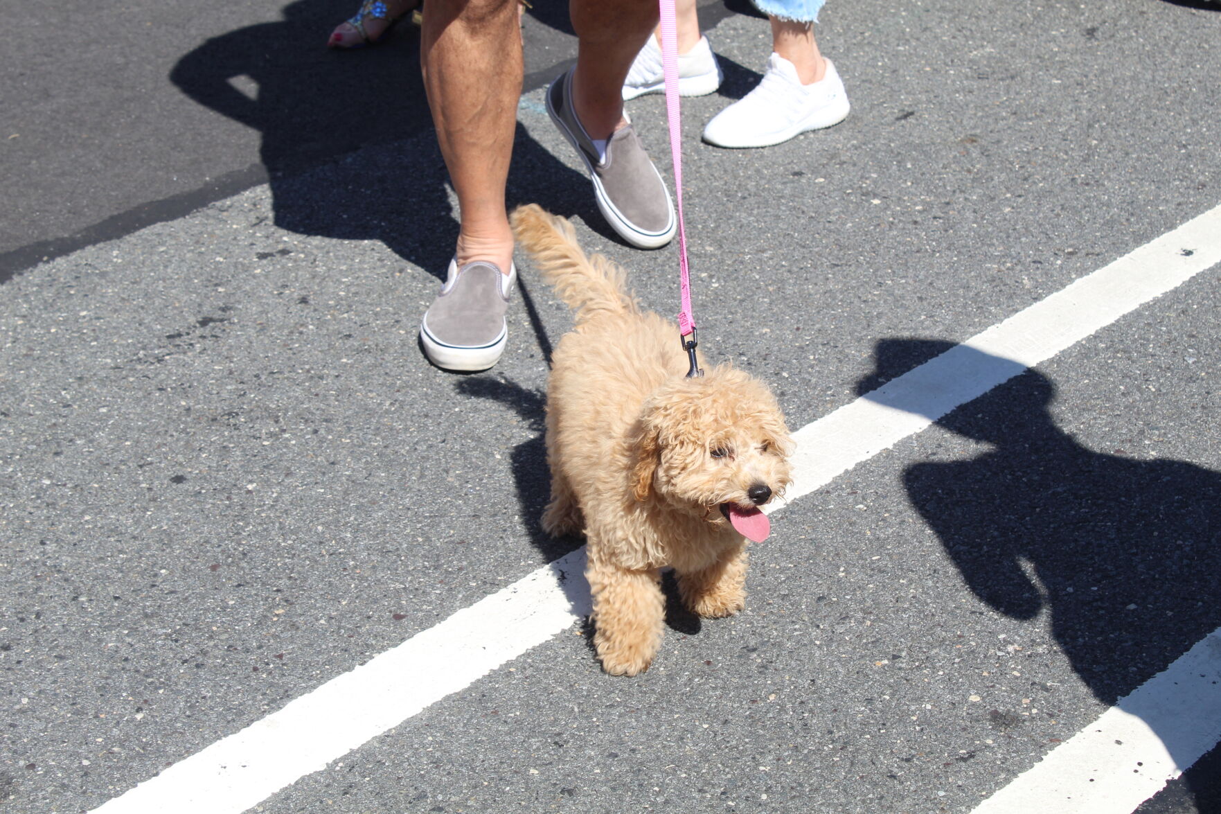 Margate Fall Funfest By The Bay_6043.JPG